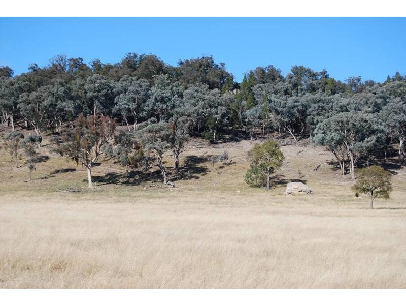 Mudgee NSW 2850