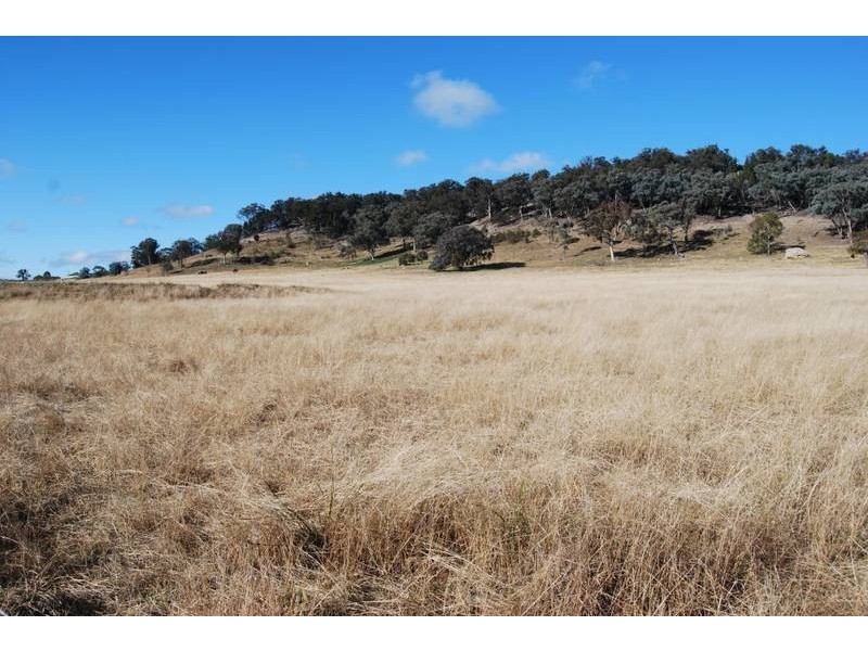 Mudgee NSW 2850