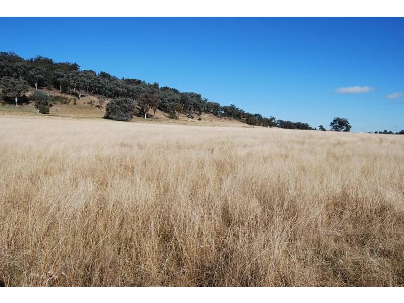 Mudgee NSW 2850