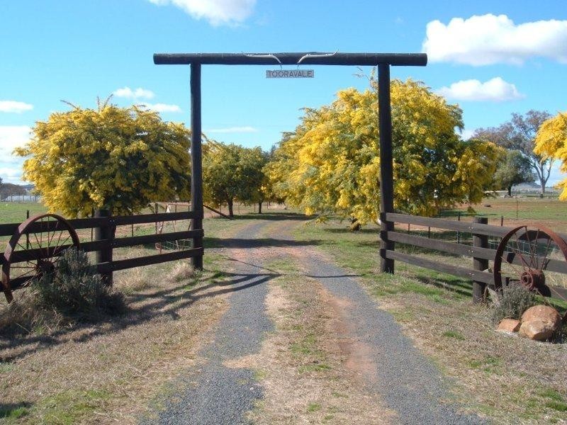 Gulgong NSW 2852