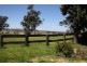 Gulgong NSW 2852