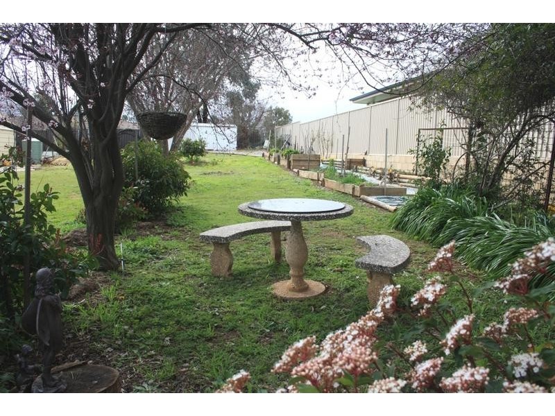 Gulgong NSW 2852