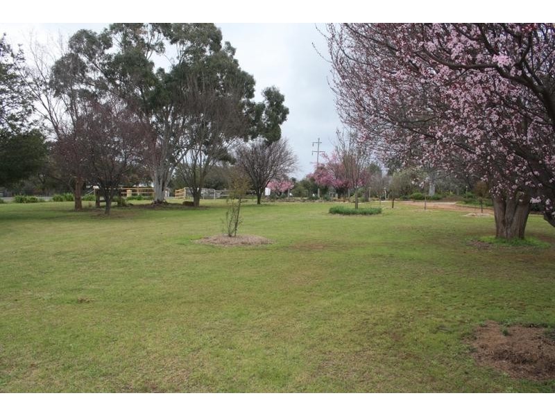 Gulgong NSW 2852
