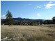 Mudgee NSW 2850