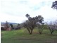 Mudgee NSW 2850