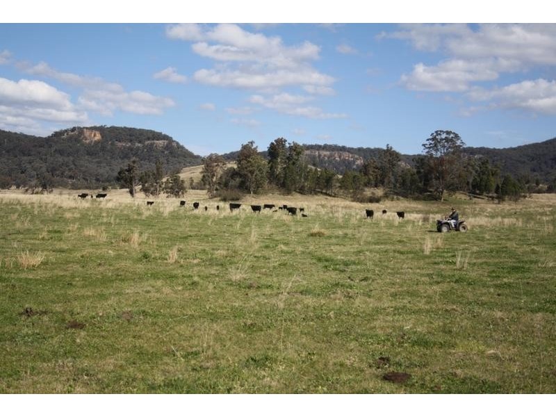 Mudgee NSW 2850