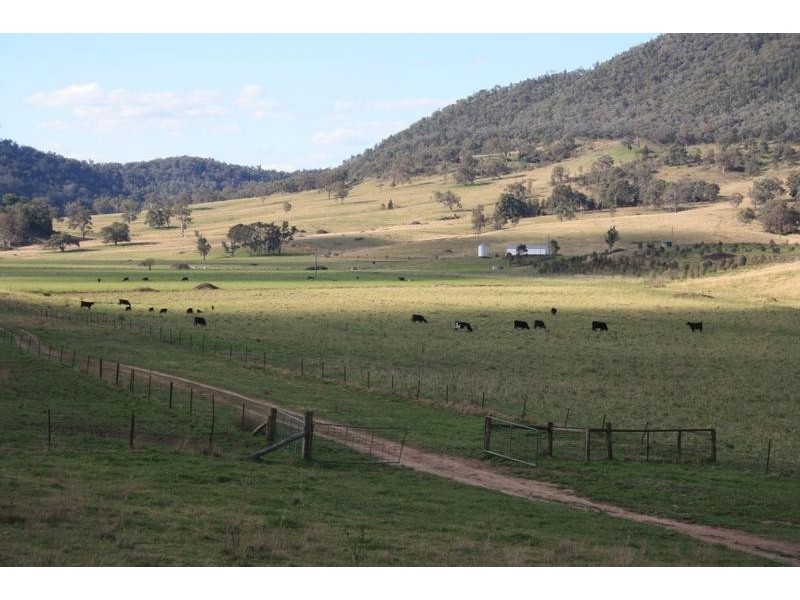 Mudgee NSW 2850