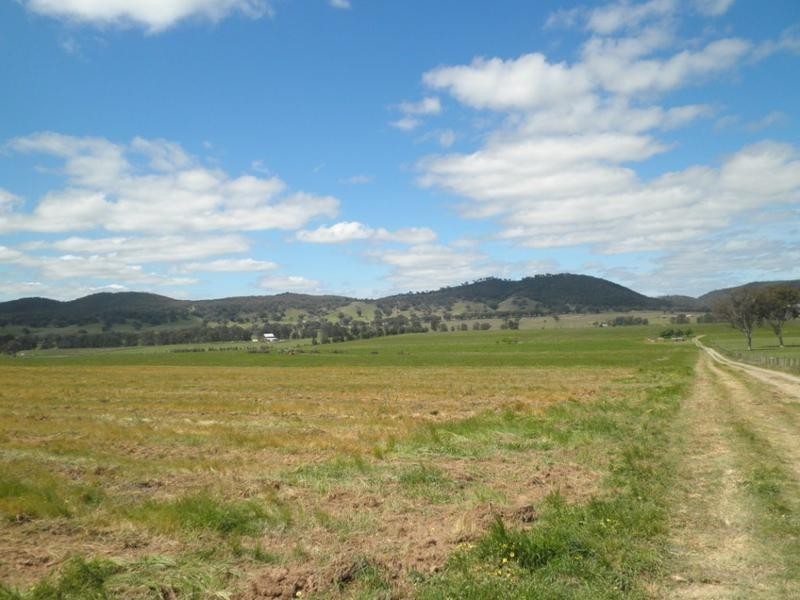 Mudgee NSW 2850