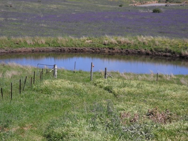 Mudgee NSW 2850