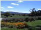 Mudgee NSW 2850