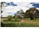Mudgee NSW 2850