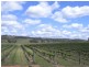 Mudgee NSW 2850