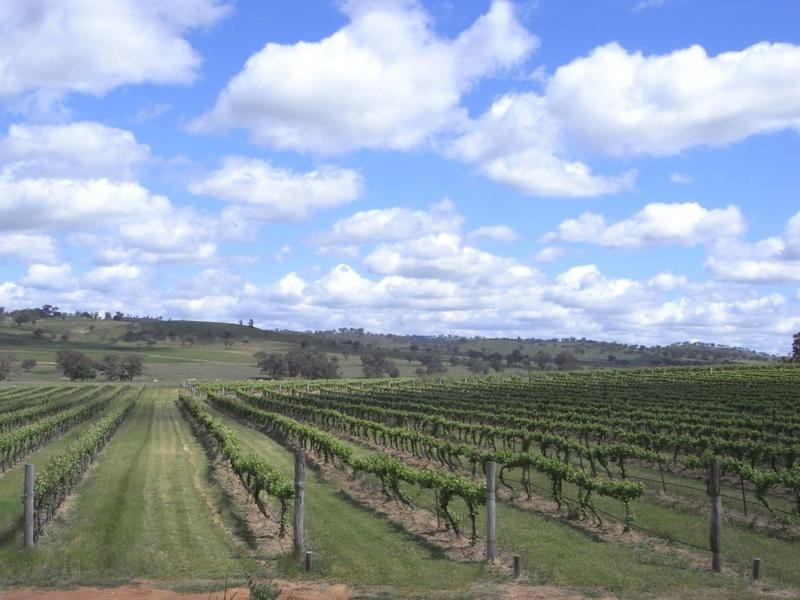 Mudgee NSW 2850