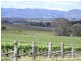 Mudgee NSW 2850
