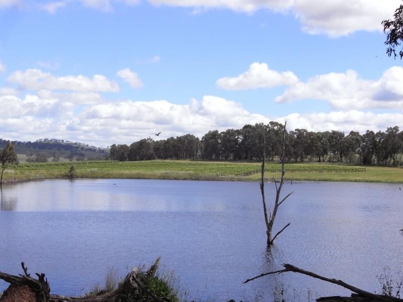 Mudgee NSW 2850