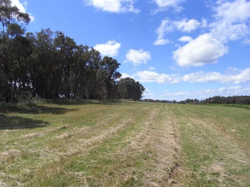 Mudgee NSW 2850