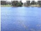 Mudgee NSW 2850