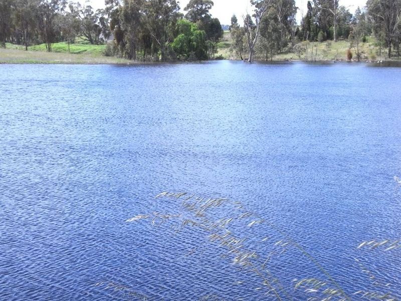 Mudgee NSW 2850