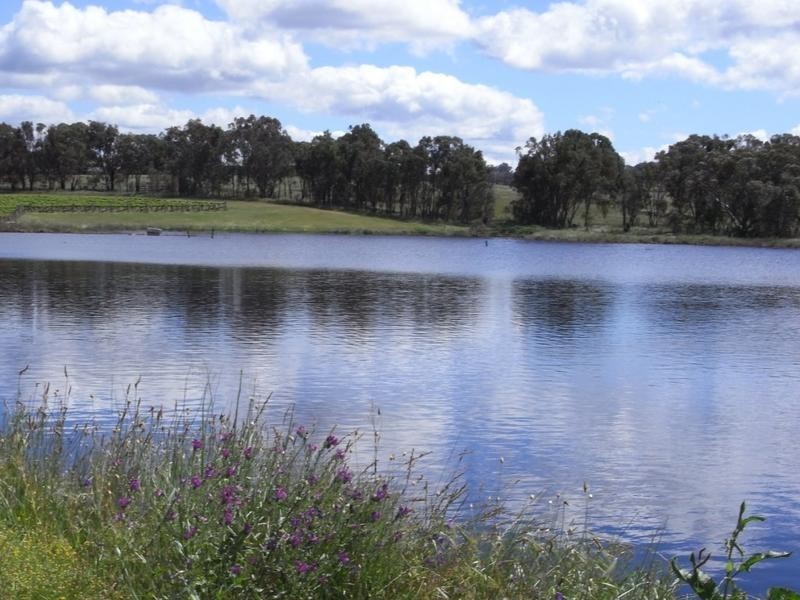 Mudgee NSW 2850