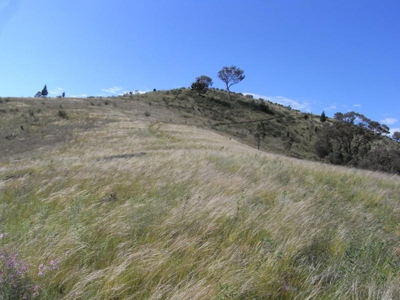 Mudgee NSW 2850