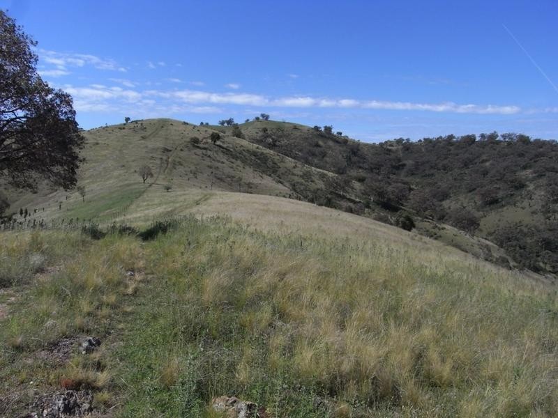 Mudgee NSW 2850