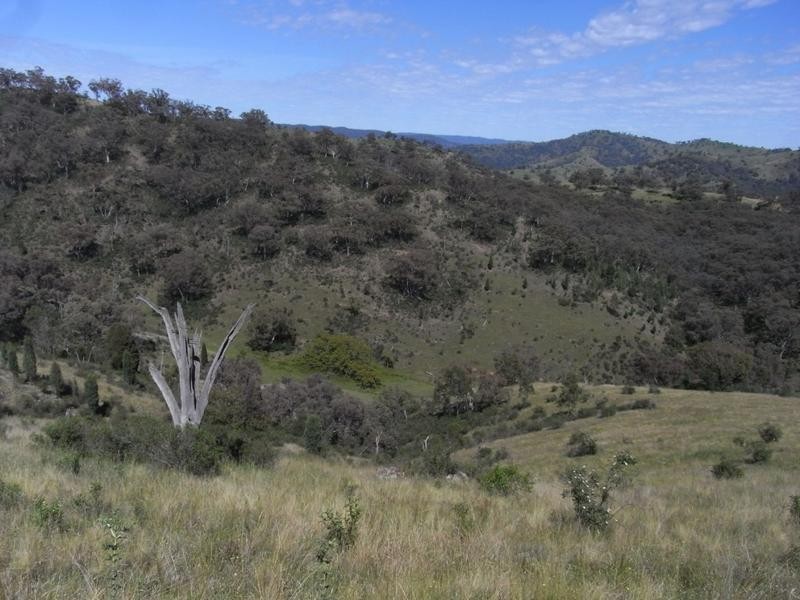 Mudgee NSW 2850