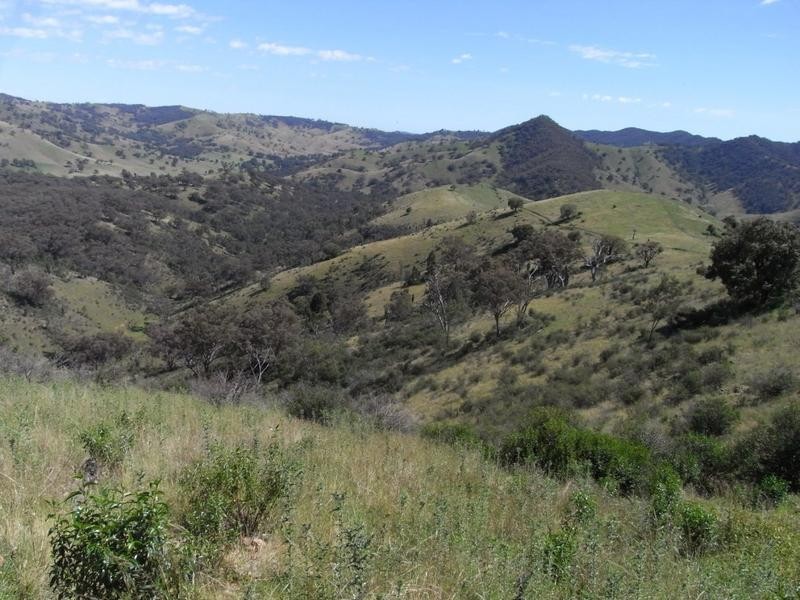 Mudgee NSW 2850