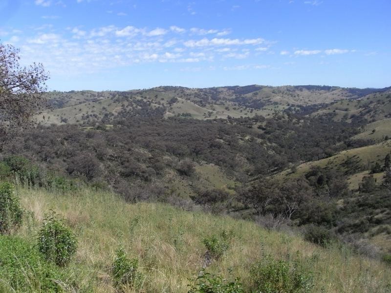 Mudgee NSW 2850