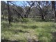 Mudgee NSW 2850