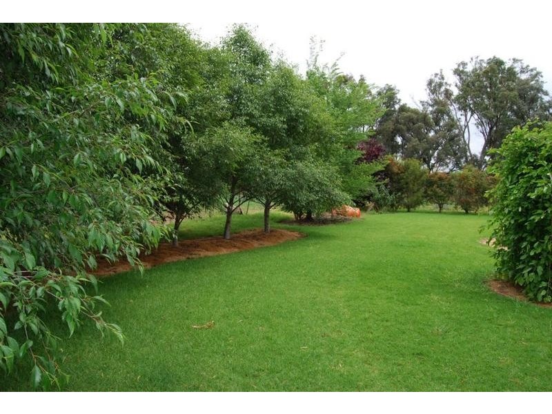 Mudgee NSW 2850