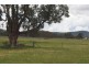 Mudgee NSW 2850