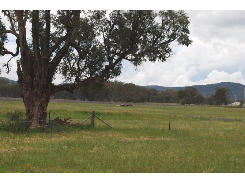 Mudgee NSW 2850