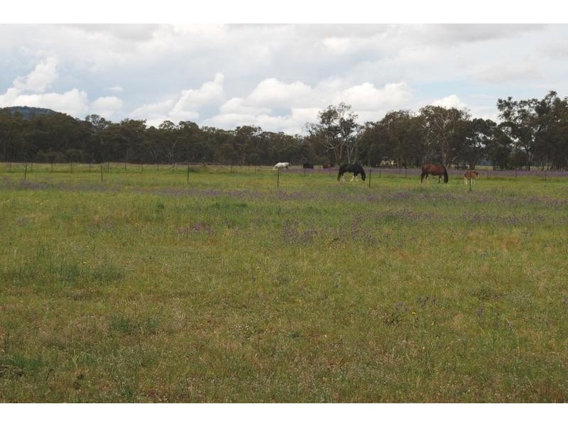 Mudgee NSW 2850