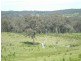 Mudgee NSW 2850