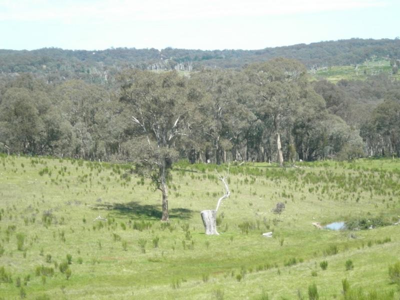 Mudgee NSW 2850