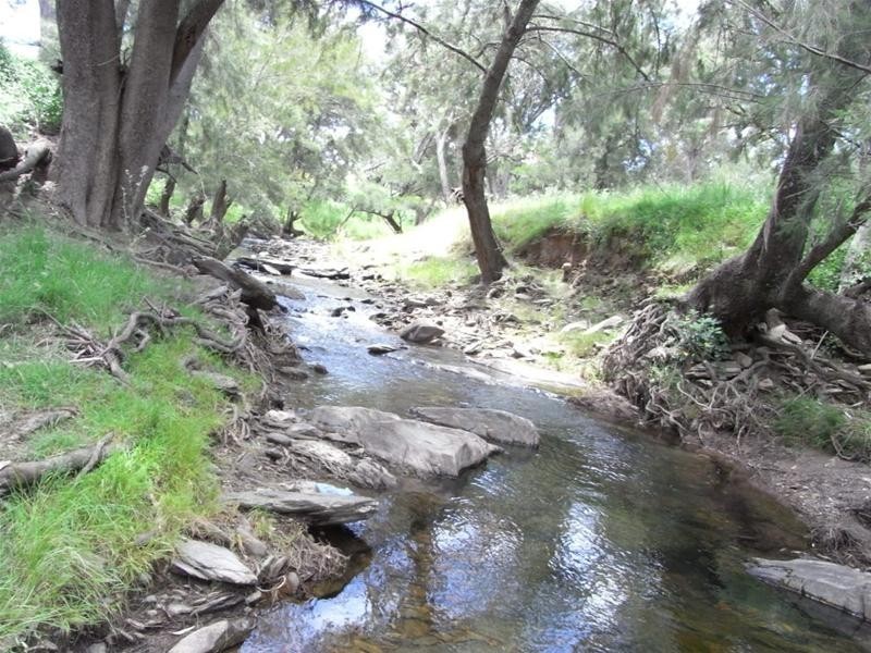 Yarrabin Road, Mudgee NSW 2850