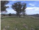 Yarrabin Road, Mudgee NSW 2850