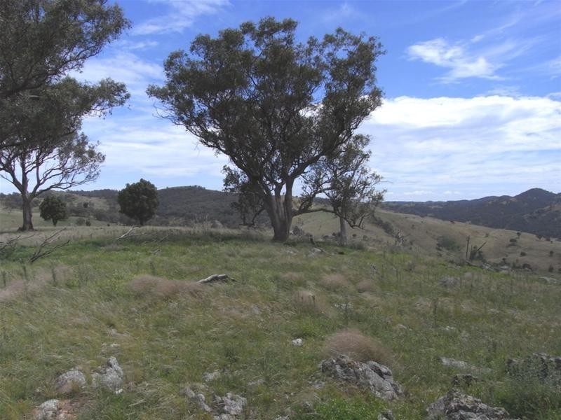 Yarrabin Road, Mudgee NSW 2850