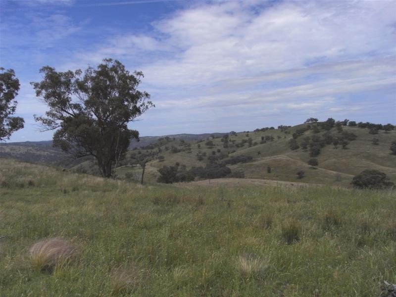 Yarrabin Road, Mudgee NSW 2850