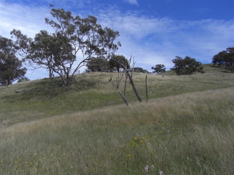 Yarrabin Road, Mudgee NSW 2850