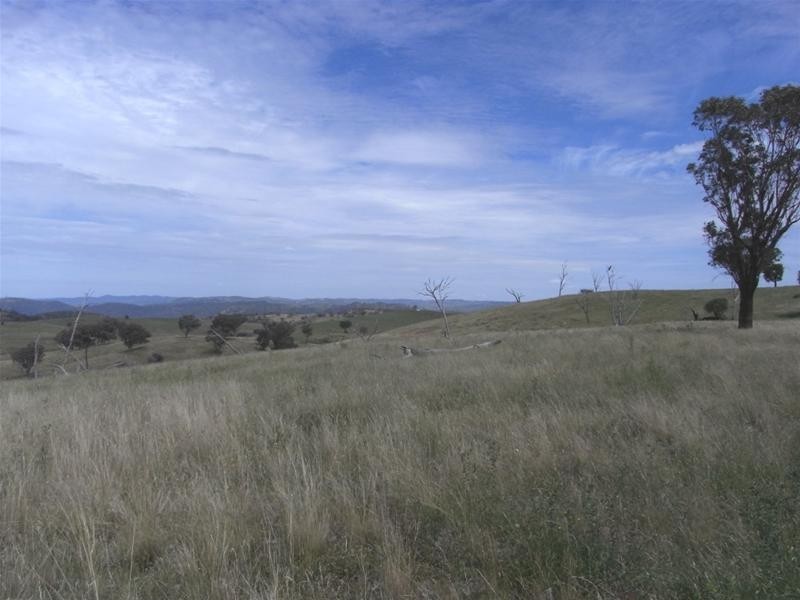 Yarrabin Road, Mudgee NSW 2850