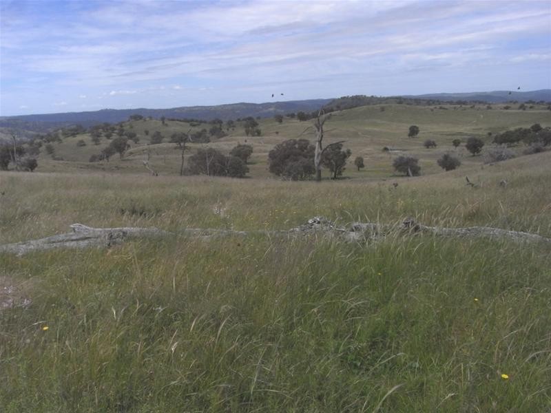 Yarrabin Road, Mudgee NSW 2850