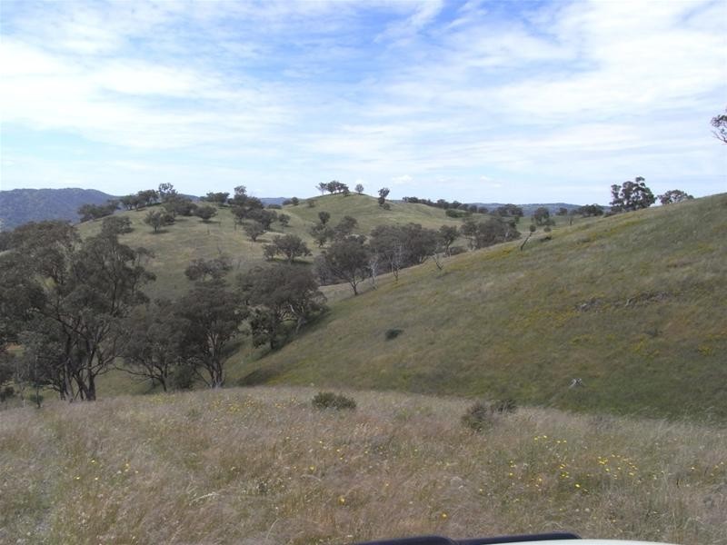 Yarrabin Road, Mudgee NSW 2850