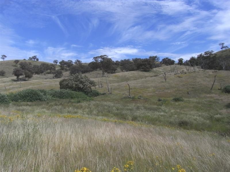 Yarrabin Road, Mudgee NSW 2850