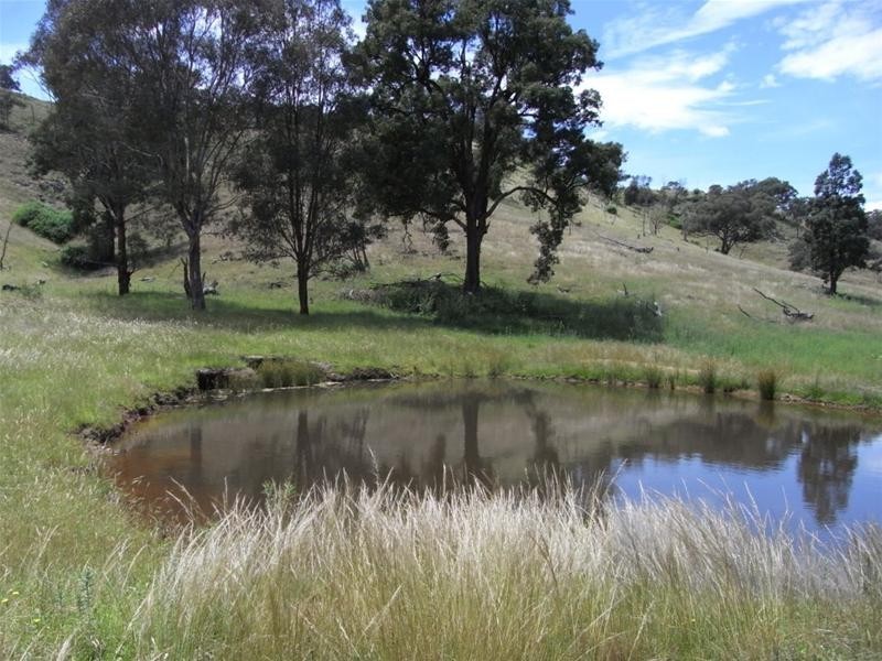 Yarrabin Road, Mudgee NSW 2850