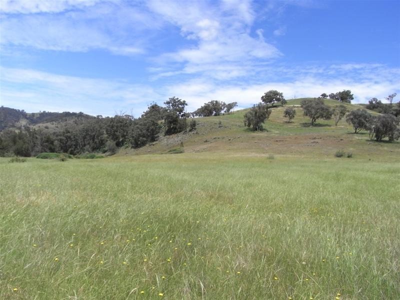 Yarrabin Road, Mudgee NSW 2850