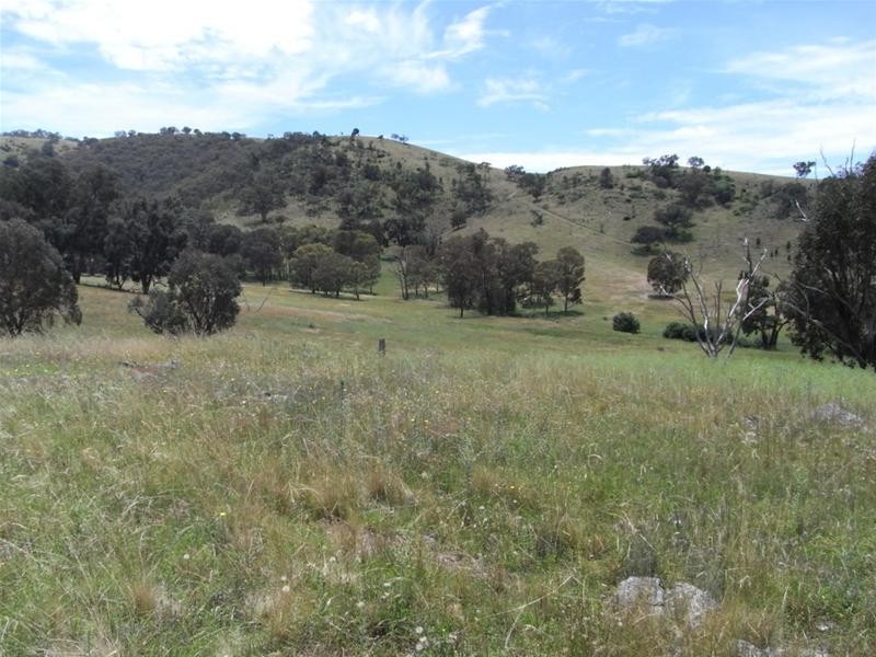 Yarrabin Road, Mudgee NSW 2850