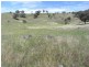 Yarrabin Road, Mudgee NSW 2850