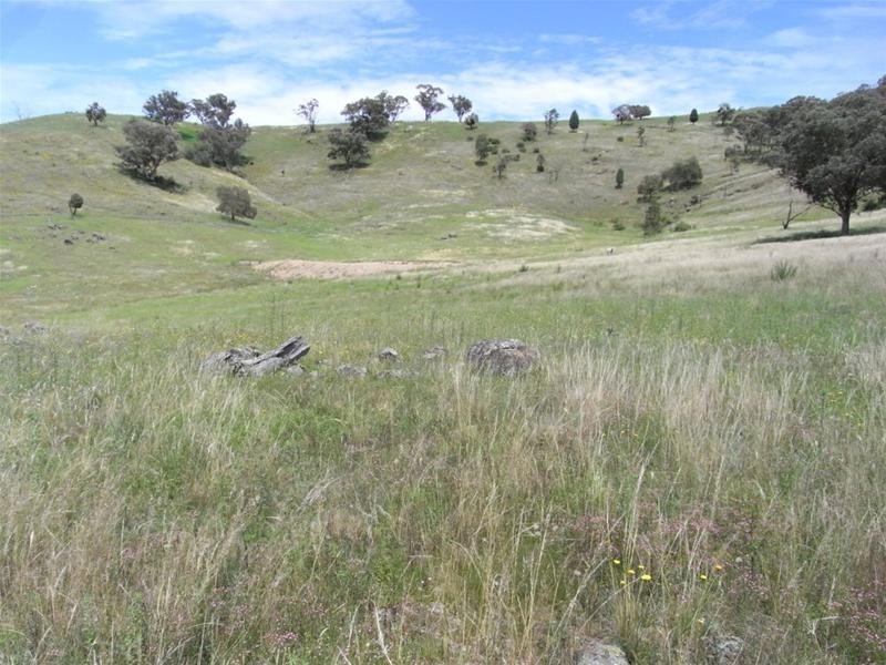Yarrabin Road, Mudgee NSW 2850