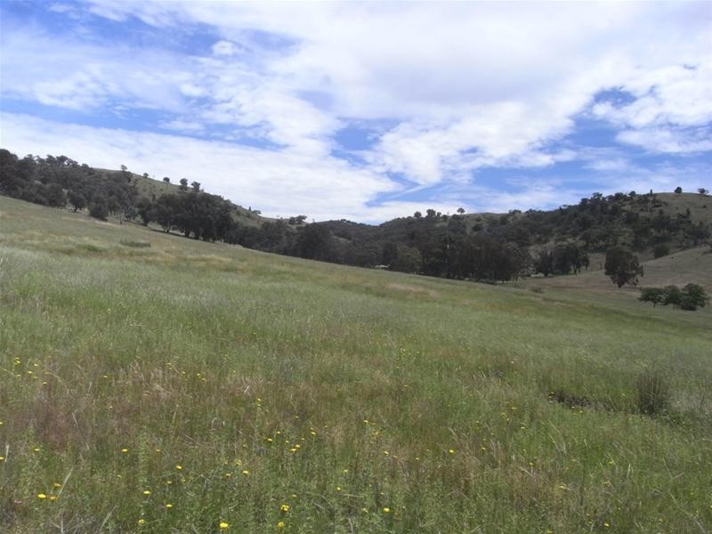 Yarrabin Road, Mudgee NSW 2850